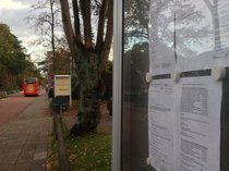 Aushangkasten mit öffentlichen Bekanntmachungen vor dem Rathaus