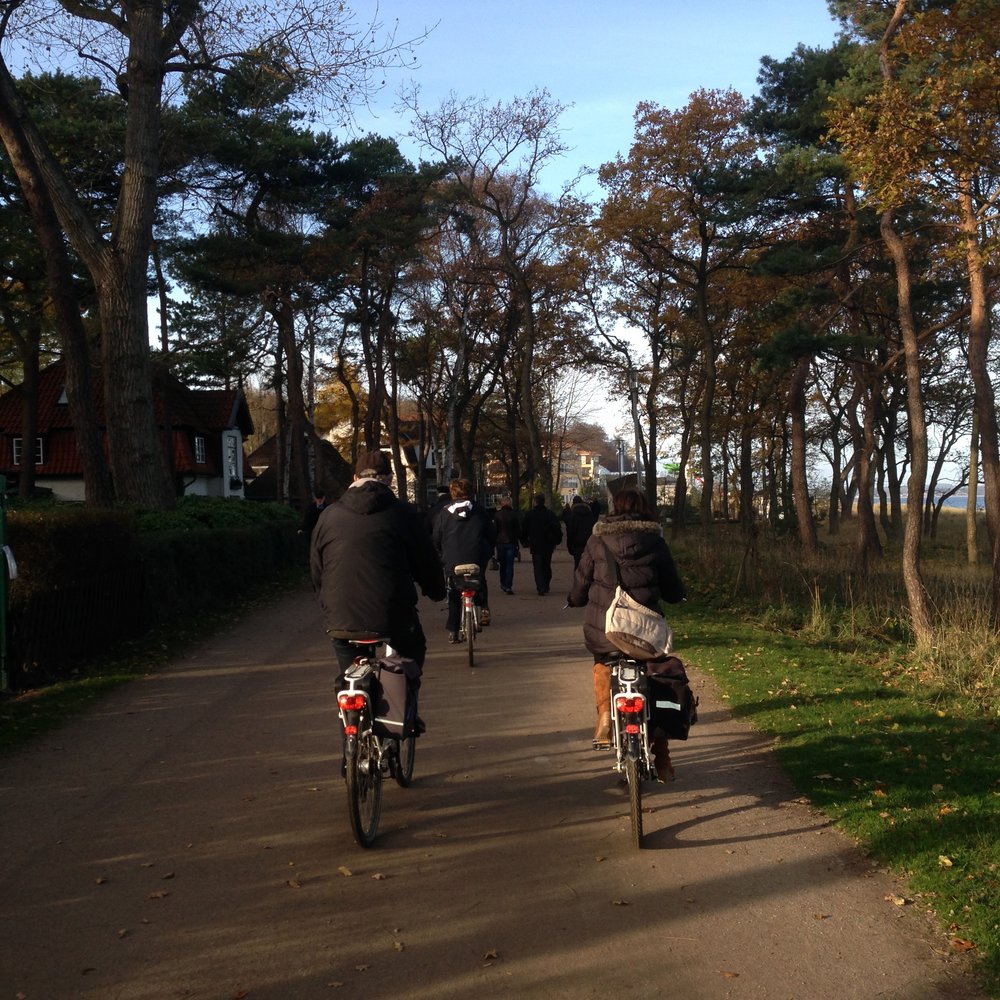 Radfahrende auf der Kurpromendade Zwei Radfahrende auf der Kurpromenade unter den Strandkiefern