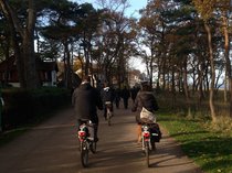 Zwei Radfahrende auf der Kurpromenade unter den Strandkiefern